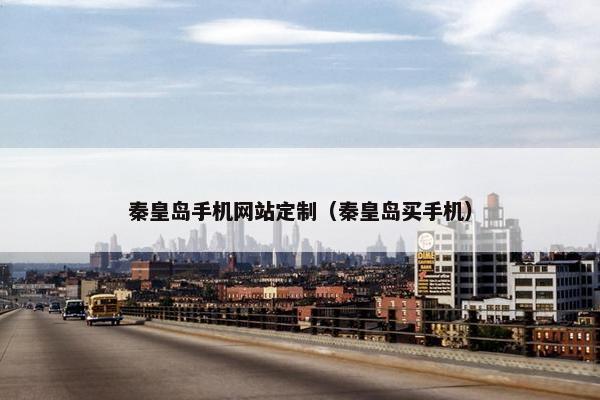 秦皇岛手机网站定制（秦皇岛买手机）