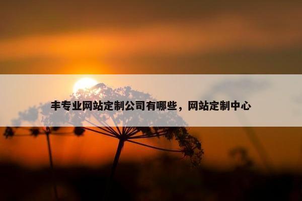 丰专业网站定制公司有哪些，网站定制中心