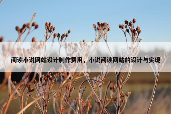 阅读小说网站设计制作费用，小说阅读网站的设计与实现