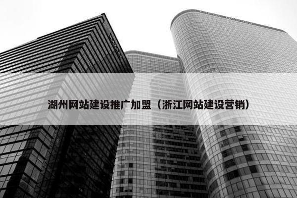 湖州网站建设推广加盟（浙江网站建设营销）