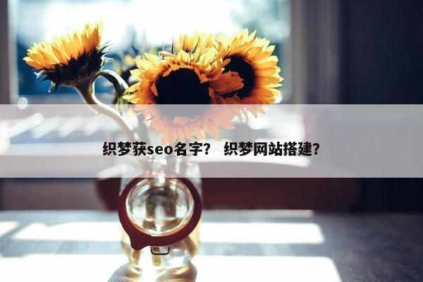 织梦获seo名字？ 织梦网站搭建？