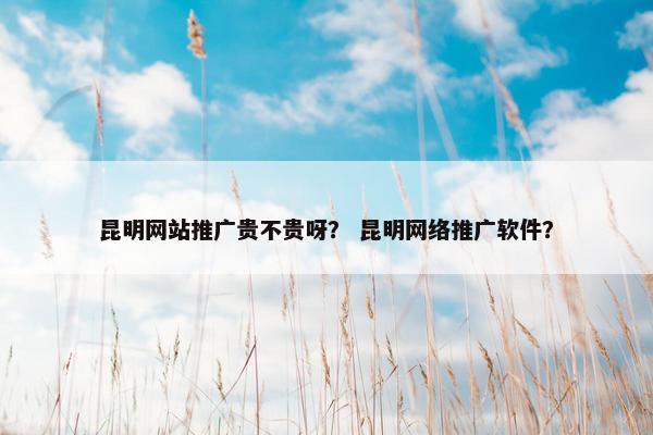 昆明网站推广贵不贵呀？ 昆明网络推广软件？