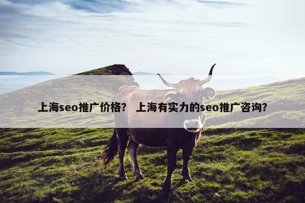上海seo推广价格？ 上海有实力的seo推广咨询？