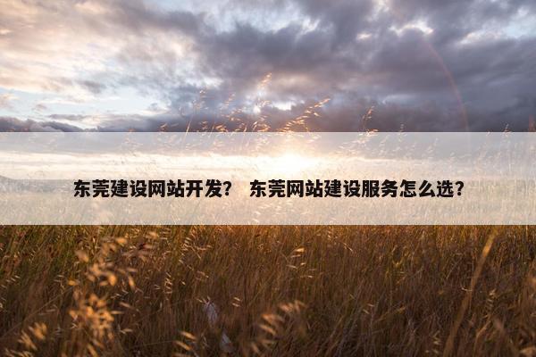 东莞建设网站开发？ 东莞网站建设服务怎么选？