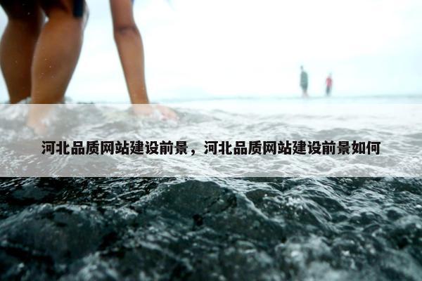 河北品质网站建设前景，河北品质网站建设前景如何
