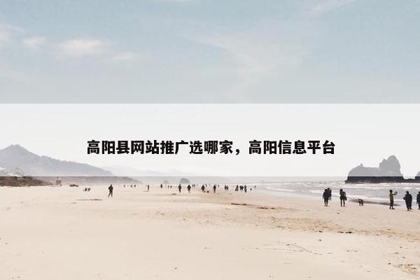 高阳县网站推广选哪家，高阳信息平台