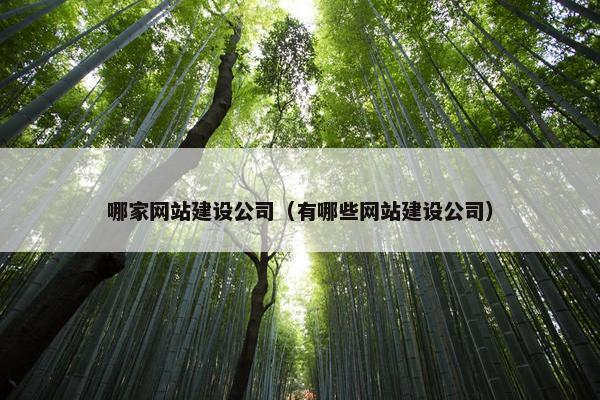 哪家网站建设公司（有哪些网站建设公司）