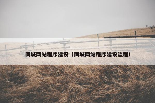 同城网站程序建设（同城网站程序建设流程）