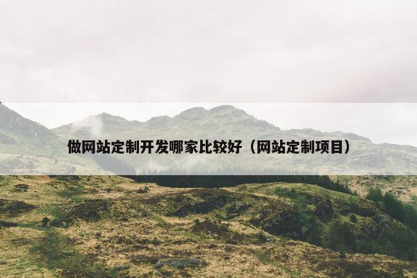 做网站定制开发哪家比较好（网站定制项目）