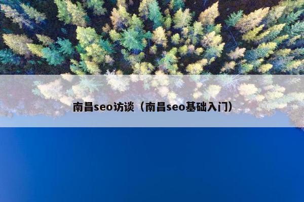 南昌seo访谈（南昌seo基础入门）