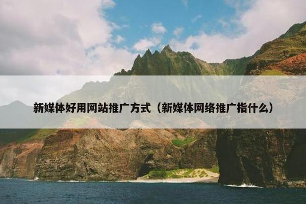 新媒体好用网站推广方式（新媒体网络推广指什么）