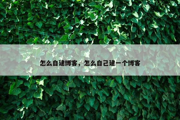 怎么自建博客，怎么自己建一个博客
