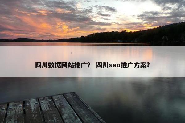 四川数据网站推广？ 四川seo推广方案？