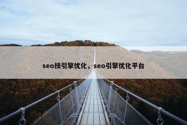 seo技引擎优化，seo引擎优化平台