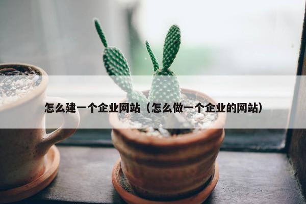 怎么建一个企业网站（怎么做一个企业的网站）