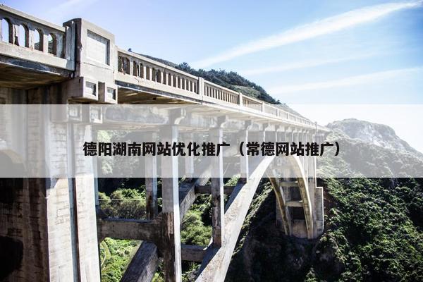 德阳湖南网站优化推广（常德网站推广）