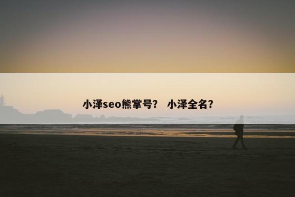 小泽seo熊掌号？ 小泽全名？