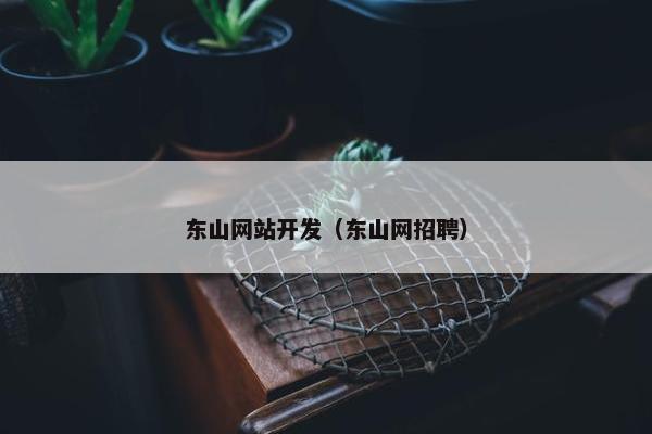 东山网站开发（东山网招聘）