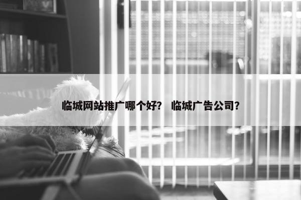 临城网站推广哪个好？ 临城广告公司？