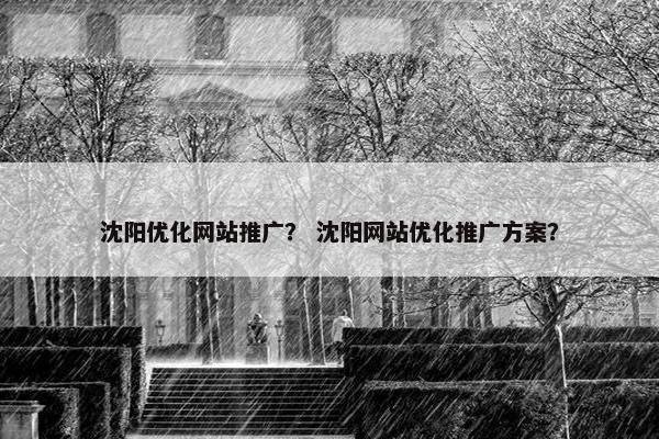 沈阳优化网站推广？ 沈阳网站优化推广方案？