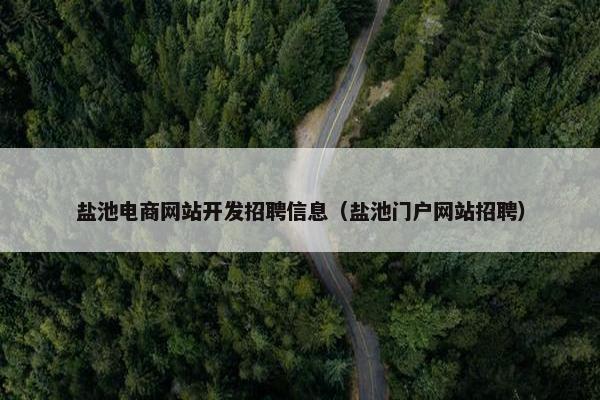 盐池电商网站开发招聘信息（盐池门户网站招聘）