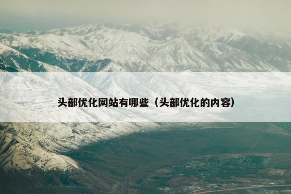 头部优化网站有哪些（头部优化的内容）