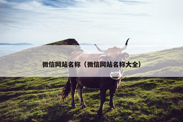 微信网站名称（微信网站名称大全）