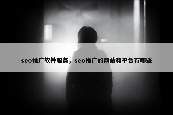 seo推广软件服务，seo推广的网站和平台有哪些
