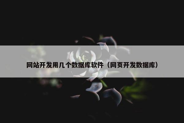 网站开发用几个数据库软件（网页开发数据库）