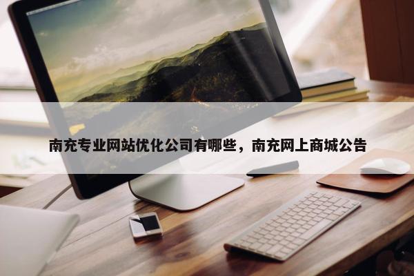南充专业网站优化公司有哪些，南充网上商城公告