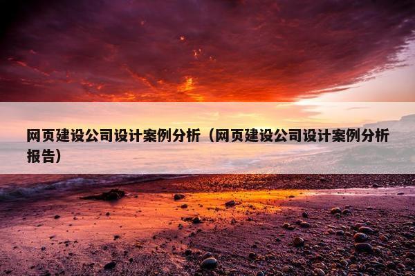 网页建设公司设计案例分析（网页建设公司设计案例分析报告）