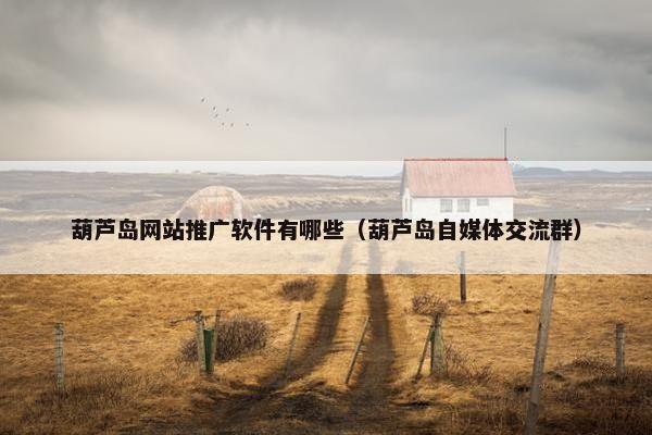 葫芦岛网站推广软件有哪些（葫芦岛自媒体交流群）