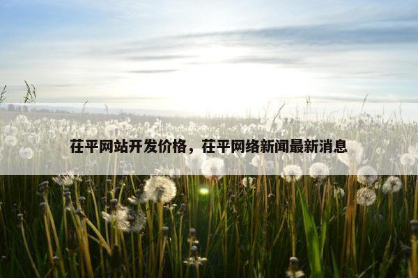 茌平网站开发价格，茌平网络新闻最新消息