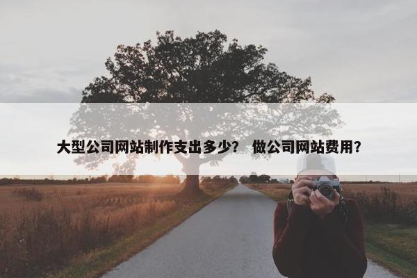 大型公司网站制作支出多少？ 做公司网站费用？