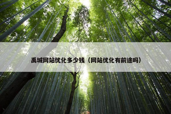 禹城网站优化多少钱（网站优化有前途吗）