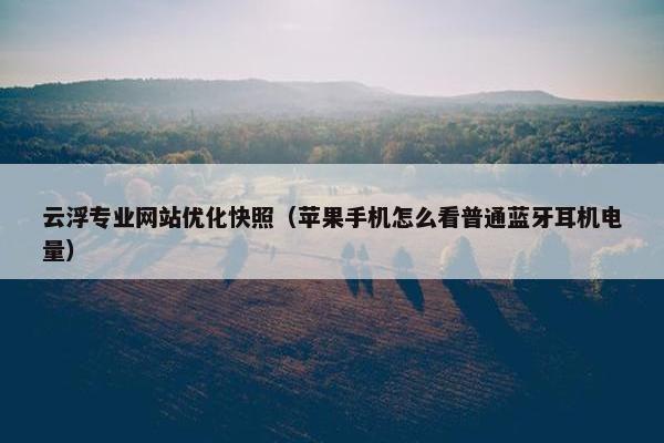 云浮专业网站优化快照（苹果手机怎么看普通蓝牙耳机电量）