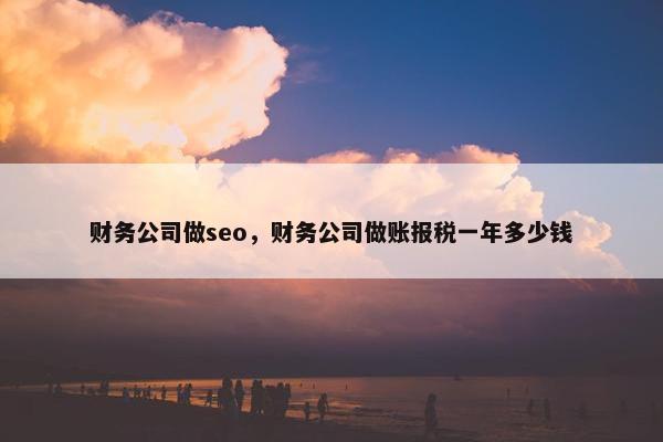 财务公司做seo，财务公司做账报税一年多少钱