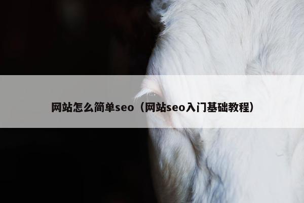 网站怎么简单seo（网站seo入门基础教程）