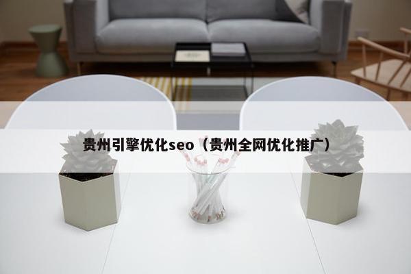 贵州引擎优化seo（贵州全网优化推广）