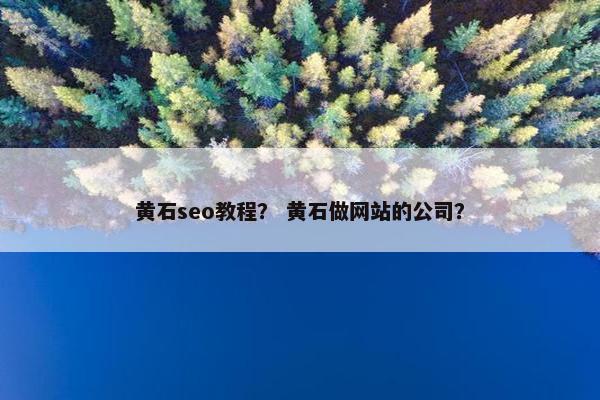 黄石seo教程？ 黄石做网站的公司？