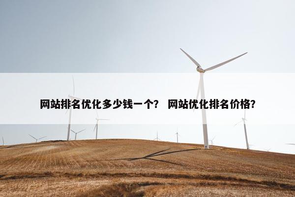 网站排名优化多少钱一个？ 网站优化排名价格？