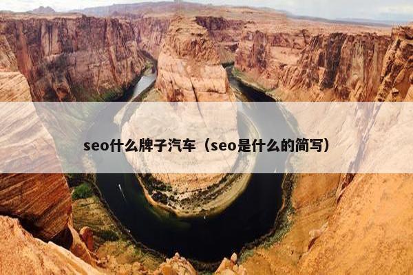 seo什么牌子汽车（seo是什么的简写）