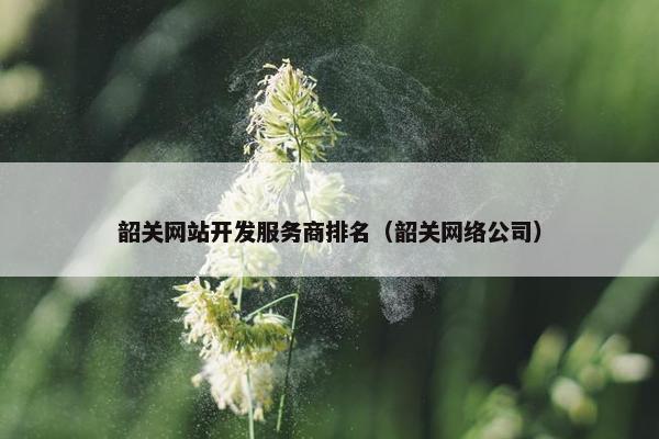 韶关网站开发服务商排名（韶关网络公司）