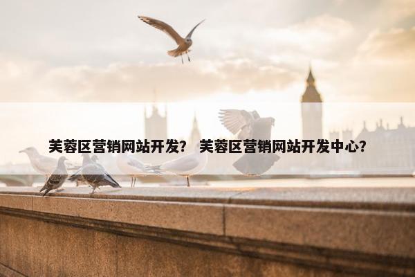芙蓉区营销网站开发？ 芙蓉区营销网站开发中心？