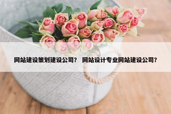网站建设策划建设公司？ 网站设计专业网站建设公司？