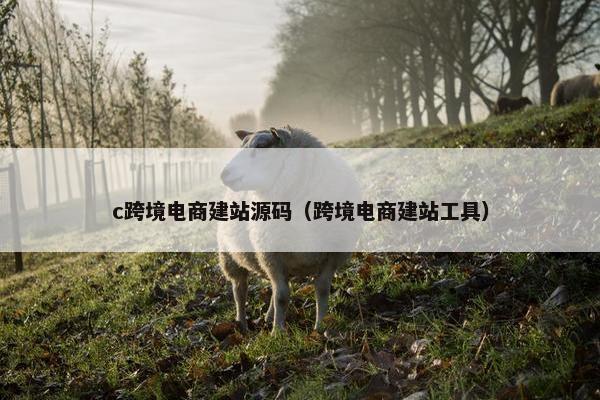c跨境电商建站源码（跨境电商建站工具）