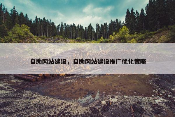 自助网站建设，自助网站建设推广优化策略