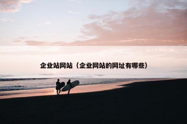 企业站网站（企业网站的网址有哪些）
