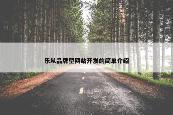 乐从品牌型网站开发的简单介绍