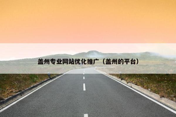 盖州专业网站优化推广（盖州的平台）